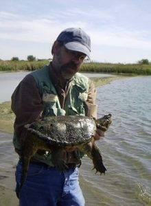 Snapping turtle found covered in leeches in Hall County NE